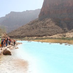 Meet your Posher, Ann boyle